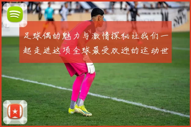 足球偶的魅力与激情探秘让我们一起走进这项全球最受欢迎的运动世界
