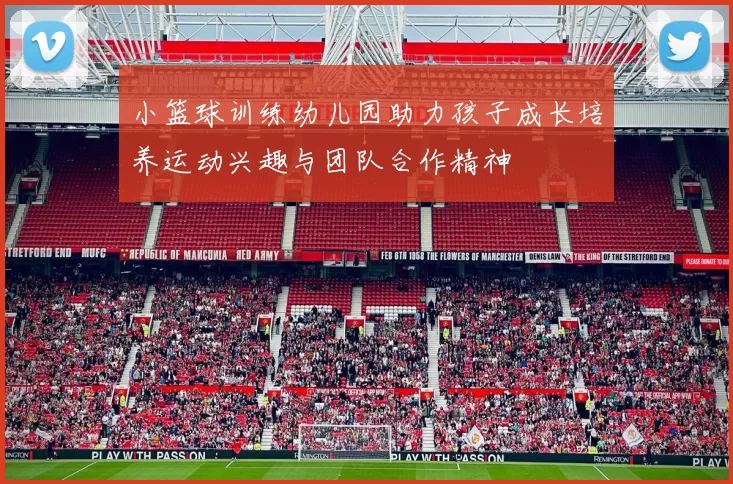 小篮球训练幼儿园助力孩子成长培养运动兴趣与团队合作精神