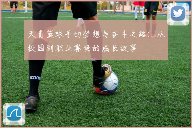 天青篮球手的梦想与奋斗之路：从校园到职业赛场的成长故事